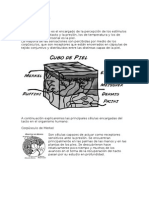 Conceptos Teóricos de Brazo