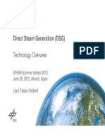 2012-Direct Steam Generation-Technology Overview