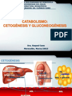 Catabolismo. Síntesis de cuerpos cetónicos y gluconeogénesis (3).pdf