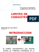 limites de consistencia - exposicion.pptx