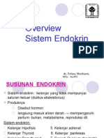 82568989 Endokrin 101101a Dr Erlina Overview Endokrin 2011