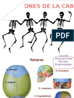 Articulaciones de La Cabeza y Cara