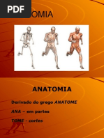 Anatomia