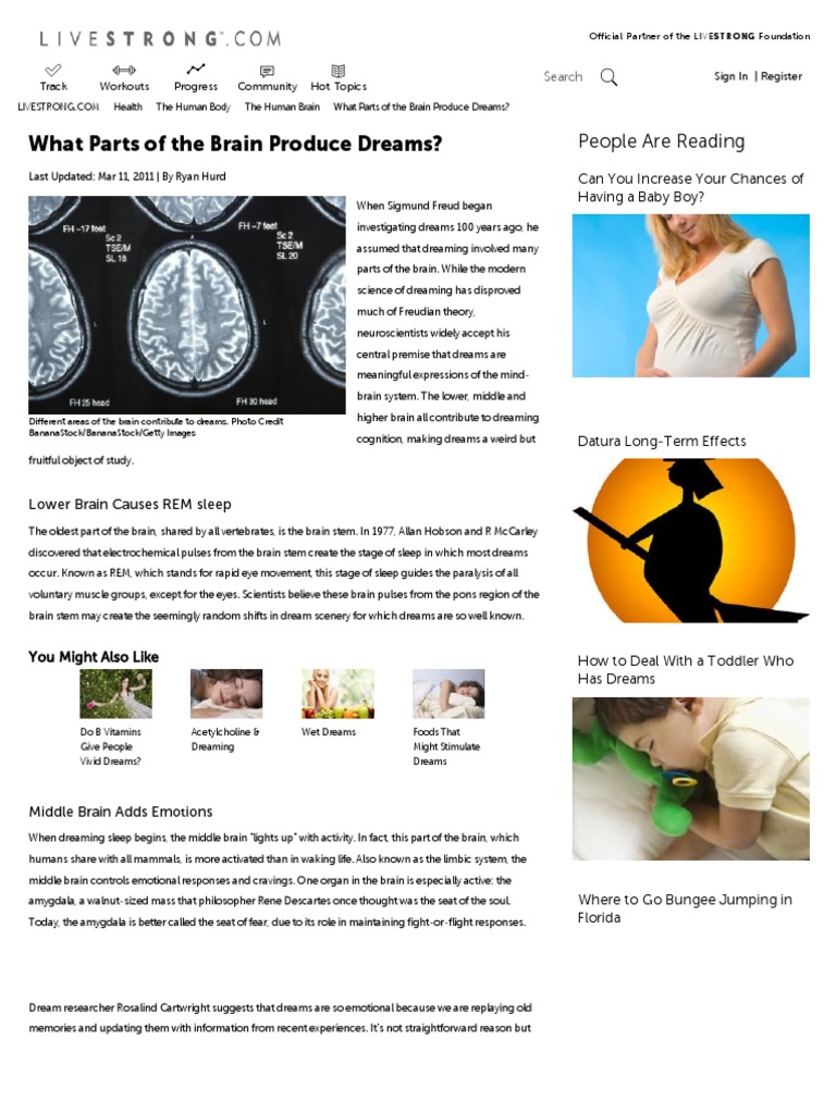 What Parts of the Brain Produce Dreams_ _ LIVESTRONG Dream Brain