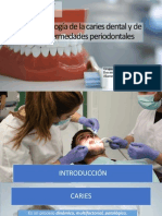 microbiologiadelacariesdentalyenfermedadperiodontal-140609000308-phpapp02