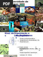 (508881646) 23232323 FINAL