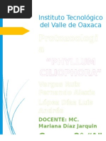 caracteristicas generales