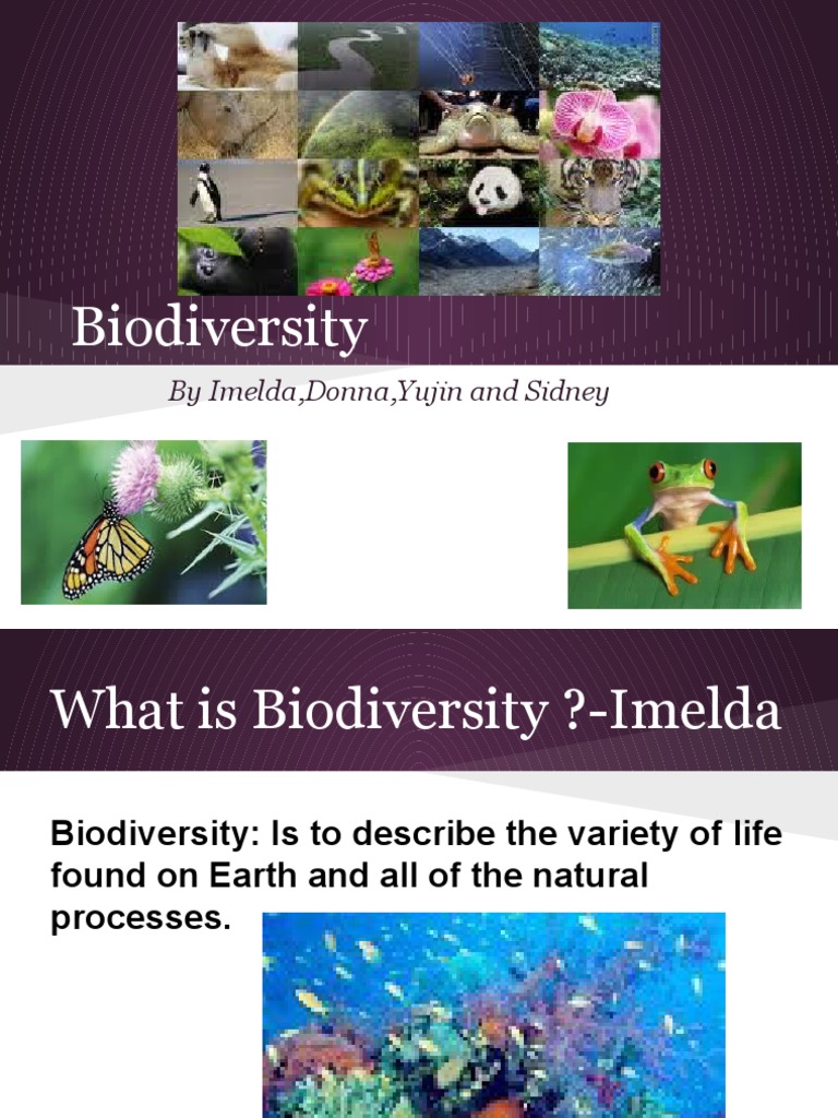 Understanding Biodiversity and Ecosystems | PDF | Science & Mathematics