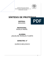 Síntesis de Proteínas