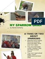 Learn About Sparrows and Their Connection to Love