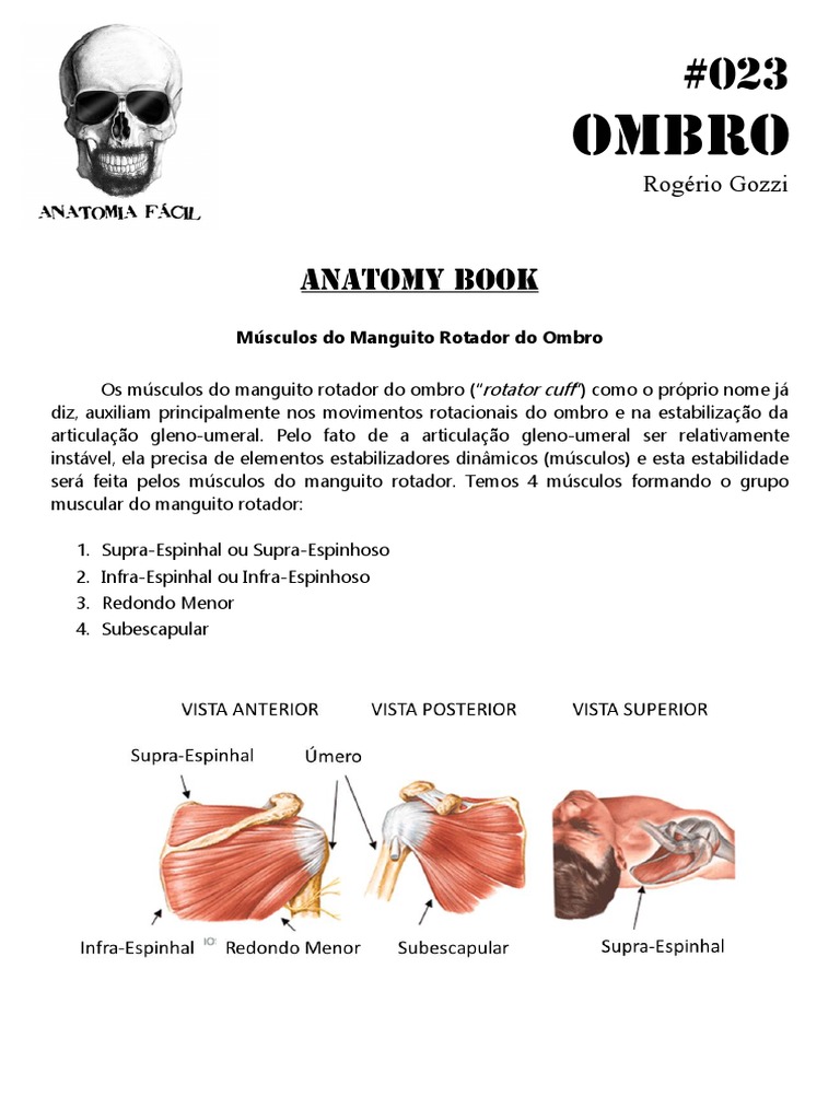 023 - Anatomy Book - Músculos Do Manguito Rotador Do Ombro | PDF, image size:768x1024