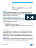 PCoE_ProcessGuide