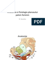 Anatomia Si Fiziologia Planseului Pelvin Feminin (1)