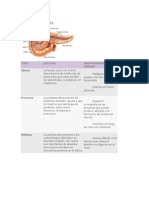 Cancer de Pancreas