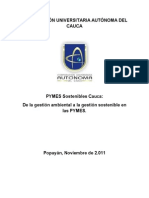 4.PYMES Sostenibles Cauca corregido 2.docx