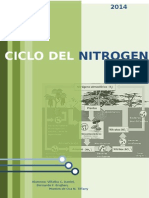 Ciclo Completo gráfico y teórico Del Nitrogeno.