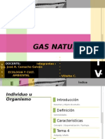 Informe y presentacion tecnica del Gas Natural 