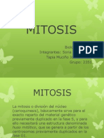 Mitosis