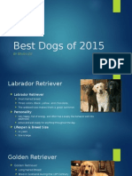 Best Dogs of 2015