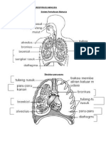 Respirasi 