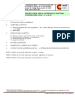 Informe Auditoria Marzo 2013