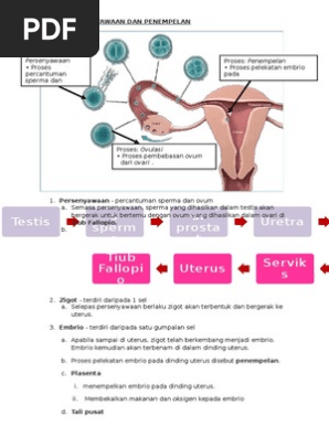 Xotin va er ortasidagi shaxsiy jinsiy aloqa