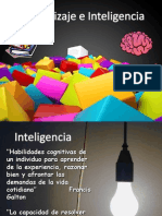 Aprendizaje e inteligencia