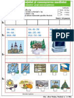 fisedelucrucuitemisicalificativ.pdf