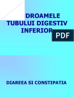 Sindroamele Tubului Digestiv Inferior