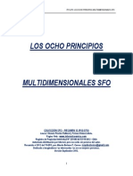 los ocho principios