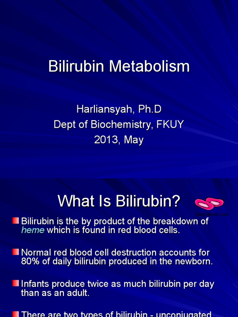 metabolisme bilirubin Biology Diagrams