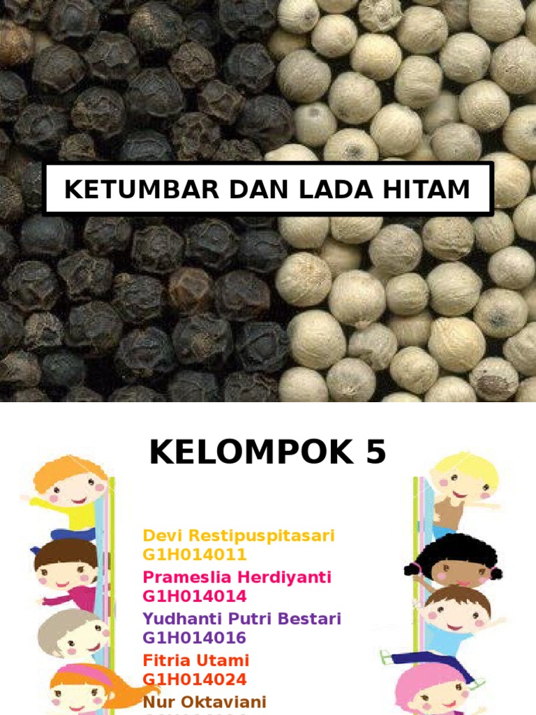 Ketumbar Dan Lada Hitam