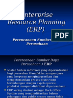 Enterprise Resource Planning (ERP)