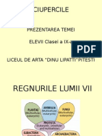 regnulfungi-aplicatieclasa-141214141206-conversion-gate02.ppt