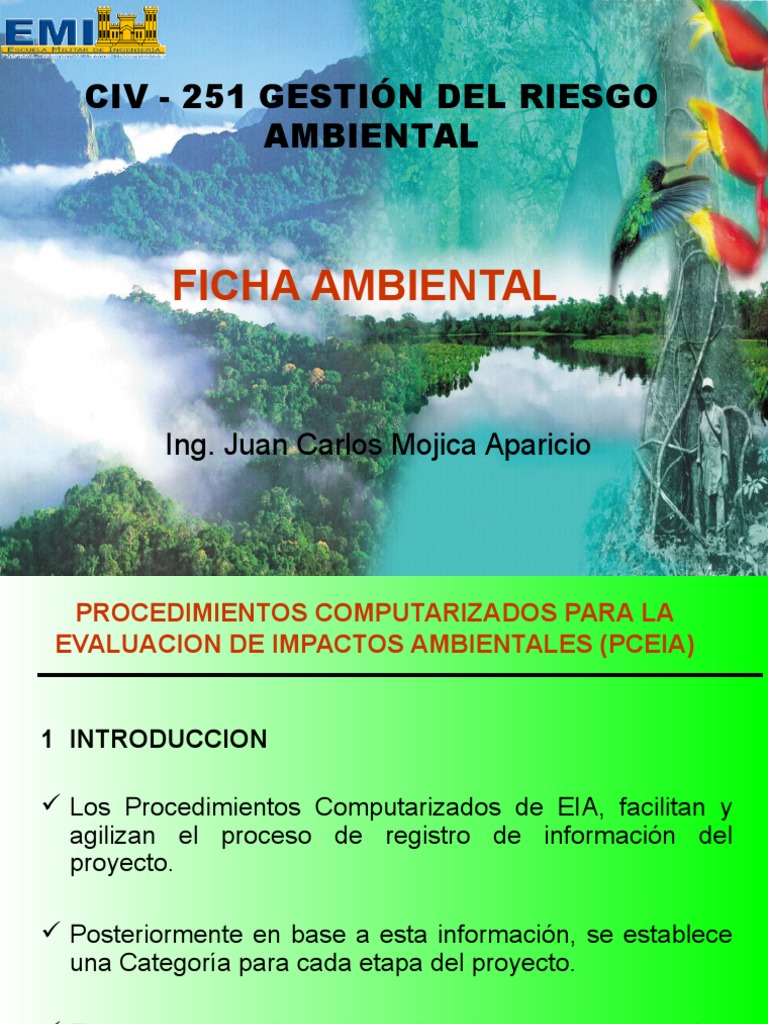 4 Ficha Ambiental | PDF | Degradación ambiental | Evaluación de impacto ...
