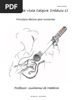 Aposttila de Viola Caipira Em PDF