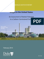 Duke Biogas Market Study