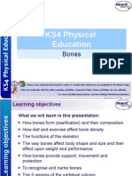 Ks4 Bones Physical Education