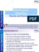 KS4 Muscles and Muscle Action Physical Education