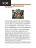 Trabalho Sobre a  Pimenta / agronegocio