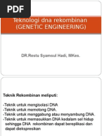 Download DNA Rekombinan by milati SN265803204 doc pdf