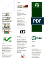 Triptico IMSS