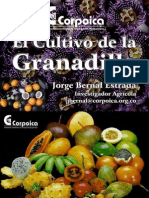 Cultivodelagranadilla 140613162128 Phpapp01