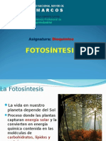 Fotosíntesis - PPT