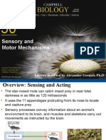 Biology: Sensory and Motor Mechanisms
