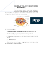 Struktur Membran Sel Dan Mekanisme Lintas Sel