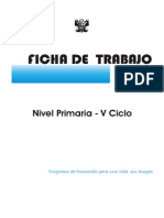 5to Ciclo_primaria.pdf