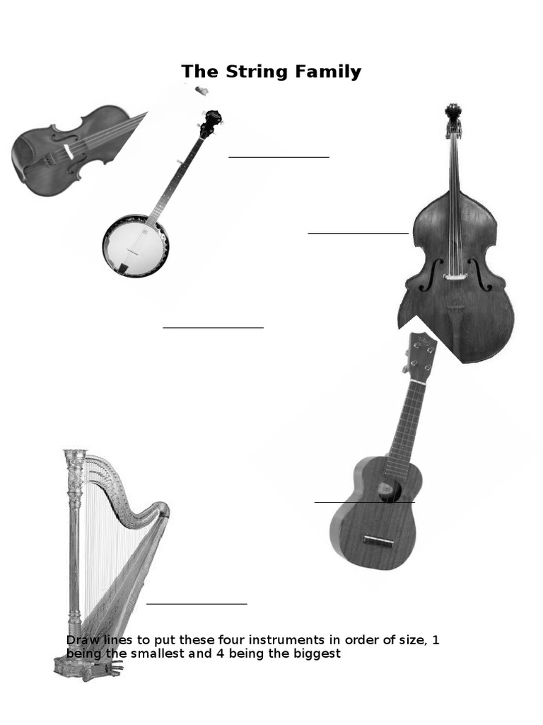 The String Family Worksheet