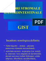 Tumori Stromale Gastrointestinale
