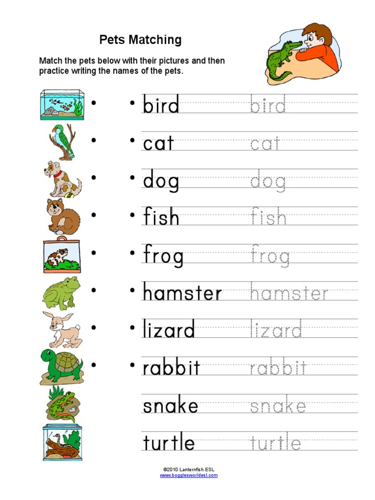 Pets Matching: Match The Pets Below With Their Pictures and Then ...